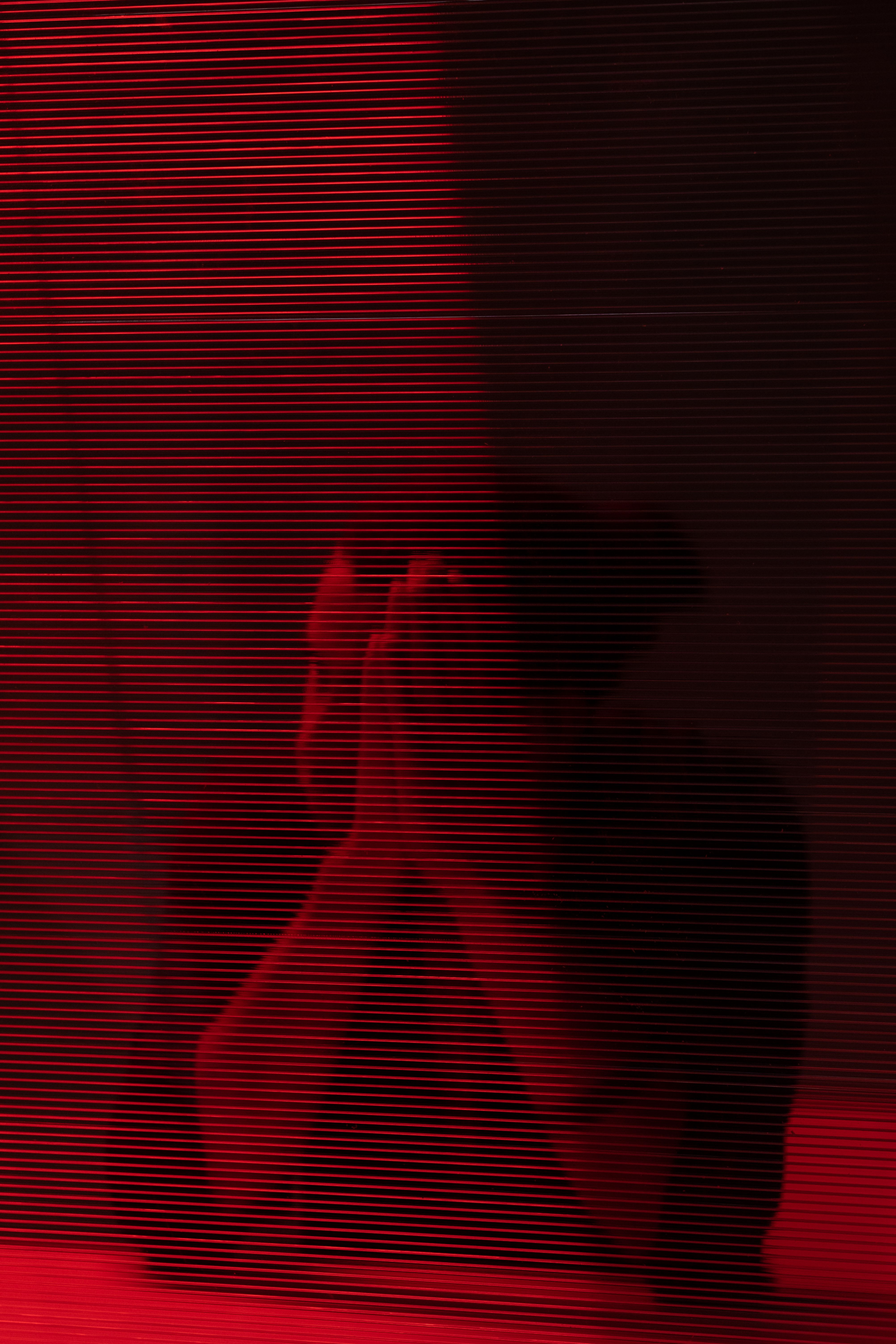 elevate